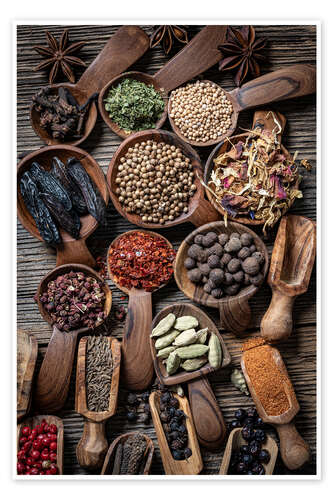 Poster Selection of spices from around the world II