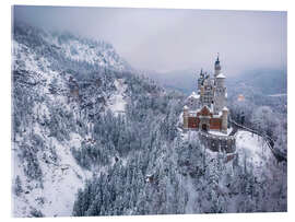 Acrylglas print Neuschwanstein Castle in a winter fairytale landscape - Andreas Wonisch