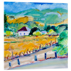Acrylic print Vineyard in Autumn, Napa - Richard H. Fox