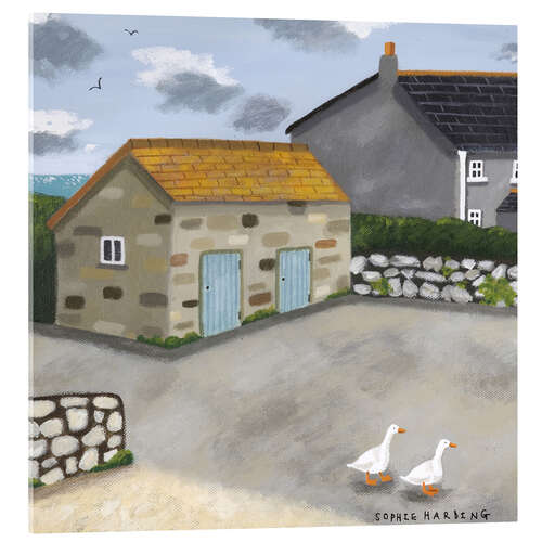 Acrylic print Ducks