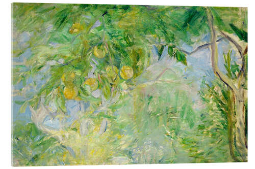 Quadro em acrílico Orange Tree Branches, 1889