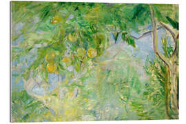 Gallery print Orange Tree Branches, 1889