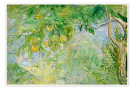 Wall print Orange Tree Branches, 1889 - Berthe Morisot