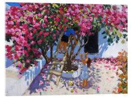 Akrylglastavla Lemon picking, Skiathos, Greece - Andrew Macara