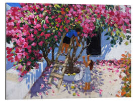 Aluminium print Lemon picking, Skiathos, Greece - Andrew Macara