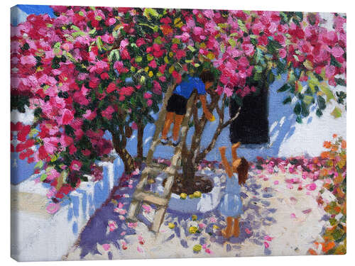 Leinwandbild Zitronen pflücken, Skiathos, Griechenland
