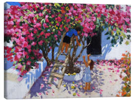 Leinwandbild Zitronen pflücken, Skiathos, Griechenland - Andrew Macara