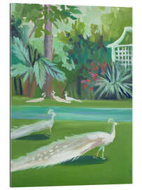 Quadro em plexi-alumínio Peacocks