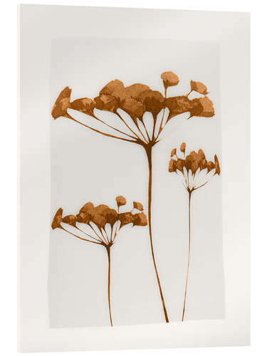 Acrylic print Minimal Plant IV