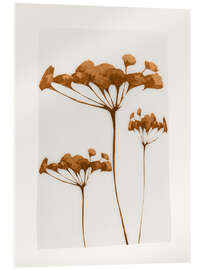 Acrylic print Minimal Plant IV