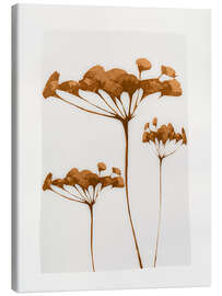 Canvas print Minimal Plant IV