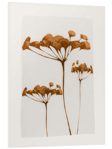 Foam board print Minimal Plant IV