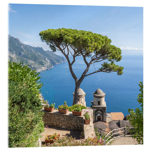 Akrylglastavla Old pine tree in Villa Rufolo, Amalfi Coast, Italy