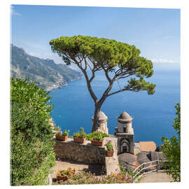 Akrylglastavla Old pine tree in Villa Rufolo, Amalfi Coast, Italy - Jan Christopher Becke