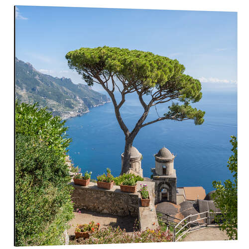 Tableau en aluminium Old pine tree in Villa Rufolo, Amalfi Coast, Italy