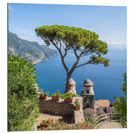 Obraz na aluminium Old pine tree in Villa Rufolo, Amalfi Coast, Italy - Jan Christopher Becke