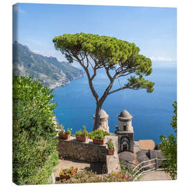 Canvas print Old pine tree in Villa Rufolo, Amalfi Coast, Italy - Jan Christopher Becke