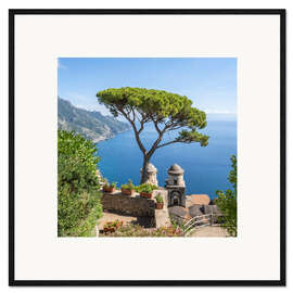 Gerahmter Kunstdruck Alte Kiefer im Garten der Villa Rufolo, Amalfiküste, Italien - Jan Christopher Becke