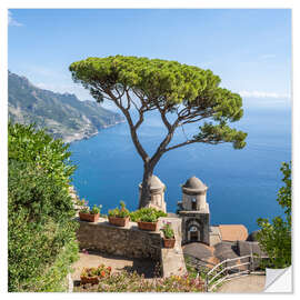 Wandsticker Alte Kiefer im Garten der Villa Rufolo, Amalfiküste, Italien