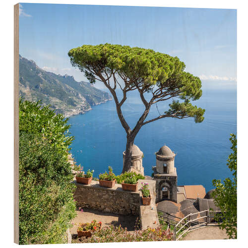 Holzbild Alte Kiefer im Garten der Villa Rufolo, Amalfiküste, Italien