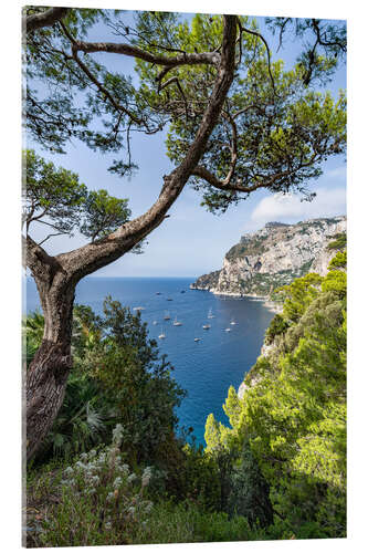 Acrylic print Coastal landscape on Capri