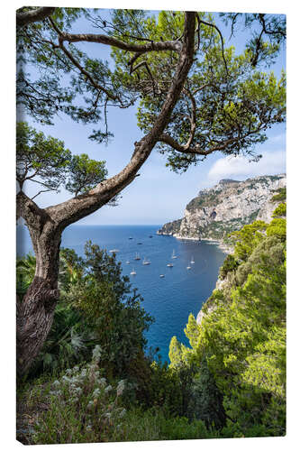 Lienzo Coastal landscape on Capri