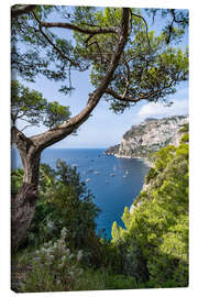 Canvas print Coastal landscape on Capri