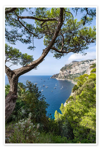 Póster Coastal landscape on Capri