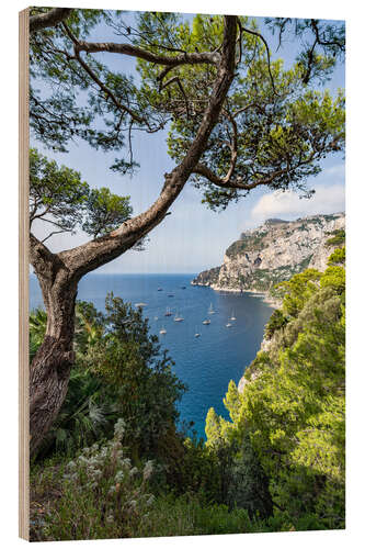 Wood print Coastal landscape on Capri