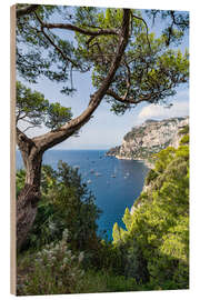 Trätavla Coastal landscape on Capri