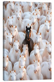 Canvastavla King of the herd - Peter Roder