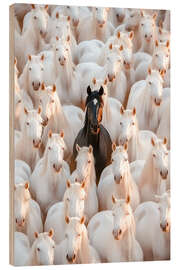 Puutaulu King of the herd - Peter Roder