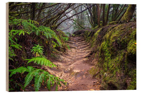 Quadro de madeira Path through the cloud forest