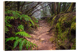 Quadro de madeira Path through the cloud forest - Denis Feiner