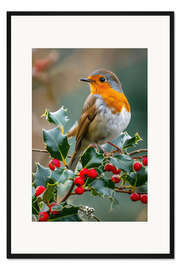 Gerahmter Kunstdruck Rotkehlchen mit roten Beeren