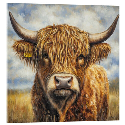 Acrylic print Portrait Highland Cattle