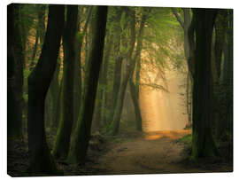 Quadro em tela Beautiful light in Speulder forest in the Netherlands - Jos Pannekoek