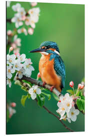 Cuadro de aluminio Kingfisher - Christian Müringer