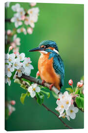 Lienzo Kingfisher