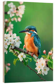 Hout print Kingfisher