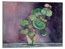 Aluminiumsbilde Geranium in a pot