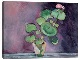 Canvas print Geranium in a pot