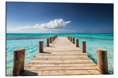 Aluminium print Island Pier