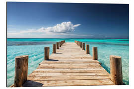 Aluminium print Island Pier
