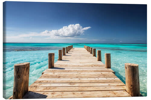 Canvas print Island Pier