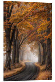 Cuadro de metacrilato Misty Morning - Mango Art