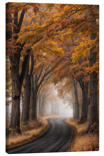 Tableau sur toile Misty Morning