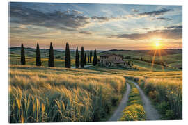 Acrylic print Tuscany Sunset - Mango Art