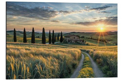 Aluminiumtavla Tuscany Sunset