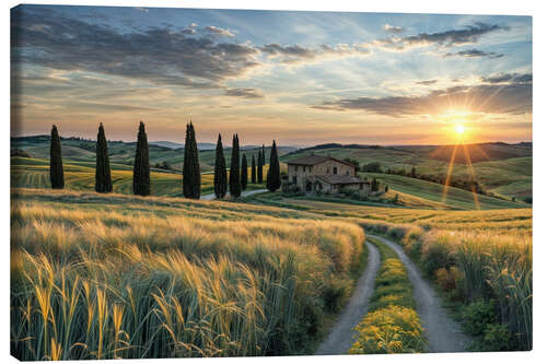 Quadro em tela Tuscany Sunset